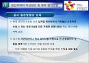 한국관광공사의 현황과과제 및 향후발전방향,한국관광공사,한국관광공사의공공성과기업성,공기업분석 32페이지