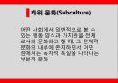 하위문화,인종적하위문화,지역적하위문화,LG전자의 라마단마케팅 2페이지