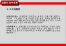 하위문화,인종적하위문화,지역적하위문화,LG전자의 라마단마케팅 7페이지