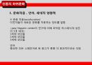 하위문화,인종적하위문화,지역적하위문화,LG전자의 라마단마케팅 11페이지