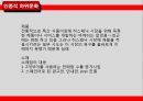 하위문화,인종적하위문화,지역적하위문화,LG전자의 라마단마케팅 13페이지