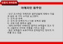 하위문화,인종적하위문화,지역적하위문화,LG전자의 라마단마케팅 17페이지