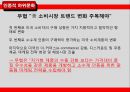 하위문화,인종적하위문화,지역적하위문화,LG전자의 라마단마케팅 26페이지