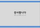 하위문화,인종적하위문화,지역적하위문화,LG전자의 라마단마케팅 43페이지