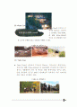 한국리조트사업분석,세계리조트시장분석,어드벤처관광분석,리조트시장분석 52페이지