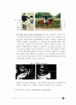 한국리조트사업분석,세계리조트시장분석,어드벤처관광분석,리조트시장분석 78페이지