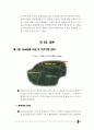 한국리조트사업분석,세계리조트시장분석,어드벤처관광분석,리조트시장분석 88페이지
