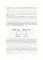 환상과 리얼리티 11페이지
