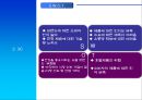 여우미의 제품출시 전략  9페이지