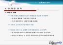 케녹스 마케팅전략  28페이지