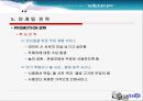 케녹스 마케팅전략  31페이지