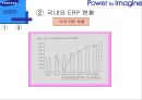 ERP도입과 운영 - 삼성SDI사례를 중심으로-  13페이지
