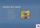 필리핀 경제의 발전과 특징  10페이지