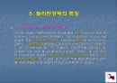 필리핀 경제의 발전과 특징  12페이지