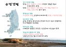 생명과학 갯벌 - 갯벌의 가치.PPT자료 4페이지