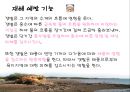 생명과학 갯벌 - 갯벌의 가치.PPT자료 10페이지