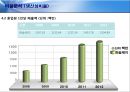 한솔제지 (기업경영분석) - 한솔제지재무분석,한솔제지비율분석,한솔제지기업분석,제지산업,재무분석사례.PPT자료 13페이지
