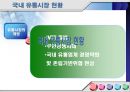 할인점,할인점유통산업,대형할인마트,외국할인점,국내할인점,이마트,홈플러스,롯데마트,코스트코,유통환경의변화,이마트분석,홈플러스분석,이마트와홈플러스 5페이지