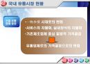 할인점,할인점유통산업,대형할인마트,외국할인점,국내할인점,이마트,홈플러스,롯데마트,코스트코,유통환경의변화,이마트분석,홈플러스분석,이마트와홈플러스 6페이지