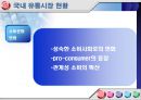 할인점,할인점유통산업,대형할인마트,외국할인점,국내할인점,이마트,홈플러스,롯데마트,코스트코,유통환경의변화,이마트분석,홈플러스분석,이마트와홈플러스 7페이지