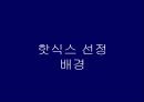 [마케팅 전략론] HOT6의 전략적 분석 및 지속적 성장을 위한 “마케팅 전략” - 핫식스_HOT6,핫식스광고마케팅사례,브랜드마케팅,서비스마케팅,글로벌경영,사례분석,swot,stp,4p.ppt 3페이지