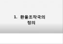 환율조작국,환율전쟁,미국중국의환율전쟁,환율이한국에미치는영향 3페이지