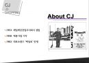 cj제일제당성공사례,락앤락,성공사례분석,브랜드마케팅,서비스마케팅,글로벌경영,사례분석,swot,stp,4p 5페이지