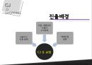 cj제일제당성공사례,락앤락,성공사례분석,브랜드마케팅,서비스마케팅,글로벌경영,사례분석,swot,stp,4p 8페이지