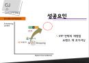 cj제일제당성공사례,락앤락,성공사례분석,브랜드마케팅,서비스마케팅,글로벌경영,사례분석,swot,stp,4p 10페이지