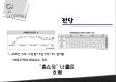 cj제일제당성공사례,락앤락,성공사례분석,브랜드마케팅,서비스마케팅,글로벌경영,사례분석,swot,stp,4p 15페이지