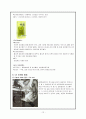 CK 향수의 감성마케팅 전략,케빈클라인향수,향수시장분석,CK향수마케팅전략,향수마케팅전략,감성마케팅,감성마케팅사례, SOWT, STP 14페이지