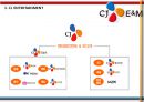 CJ Entertainment(엔터테인먼트) 수직통합 사례 - 수직통합사례,CJ엔터테인먼트 다각화전략,CJ엔터테인먼트 영화산업,영화산업.PPT자료 13페이지