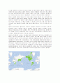 글로벌(Global) 제품의 표준화와 현지화 사례 - 표준화전략,현지화전략,표준화전략 성공실패사례,현지화전략 성공실패사례 - 소감/느낀점 포함 38페이지