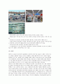 글로벌(Global) 제품의 표준화와 현지화 사례 - 표준화전략,현지화전략,표준화전략 성공실패사례,현지화전략 성공실패사례 - 소감/느낀점 포함 44페이지