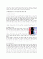 글로벌(Global) 제품의 표준화와 현지화 사례 - 표준화전략,현지화전략,표준화전략 성공실패사례,현지화전략 성공실패사례 - 소감/느낀점 포함 48페이지