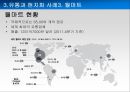 Global 유통전략사례,유통과브랜드가치,유통과합작투자.유통과현지화,유통채널간소화 43페이지