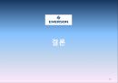EMERSON ELECTRIC 기업조사,EMERSON ELECTRIC기업분석,에머슨,에머슨기업분석,에머슨마케팅전략 30페이지