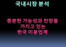 K.I.C.A,KICA마케팅전략,KICA기업분석,고데기시장,헤어고데기 35페이지