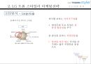 LG트롬스타일러마케팅전략,현실주의라이프스타일,스타일러마케팅전략,LG트롬마케팅전략 21페이지