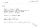 LG트롬스타일러마케팅전략,현실주의라이프스타일,스타일러마케팅전략,LG트롬마케팅전략 32페이지