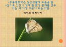 [인간과동물]동물행동연구,동물행동학,동물연구 5페이지