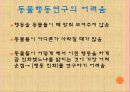 [인간과동물]동물행동연구,동물행동학,동물연구 6페이지