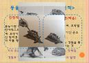 [인간과동물]동물행동연구,동물행동학,동물연구 10페이지