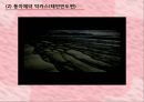 감정소구 광고(감정유형,감정영향,프로이트동기이론).PPT자료 17페이지