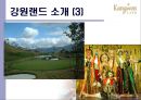 문화관광산업의 대표브랜드 - 강원랜드 (강원랜드분석,강원랜드마케팅전략,카지노산업,디마케팅,강원랜드마케팅분석).PPT자료 7페이지