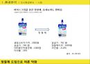 DOG ICECREAM - 강아지_아이스크림,애견산업,애견시장,브랜드마케팅,서비스마케팅,글로벌경영,사례분석,swot,stp,4p.PPT자료 22페이지