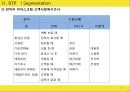 DOG ICECREAM - 강아지_아이스크림,애견산업,애견시장,브랜드마케팅,서비스마케팅,글로벌경영,사례분석,swot,stp,4p.PPT자료 28페이지