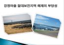 강정마을 사태 [해군기지부지 부적합 논란] 강정마을 해군기지화 찬성 vs. 반대.PPT자료 14페이지