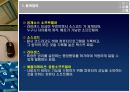 공개소스,공개소스소프트웨어,공개소스소프트웨어속성및특징,리눅스,사례속공개소스 3페이지
