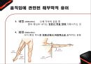 운동 역학 (골격근과부우별명칭,골격근분석,해부학적자세와신체의면).PPT자료 22페이지